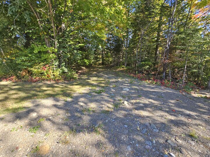 Property Photo:  156 Benedicta Road  ME 04776 