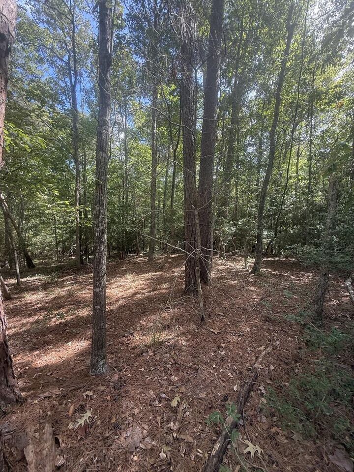 Property Photo:  Tbd Leisure Lane  TX 75944 