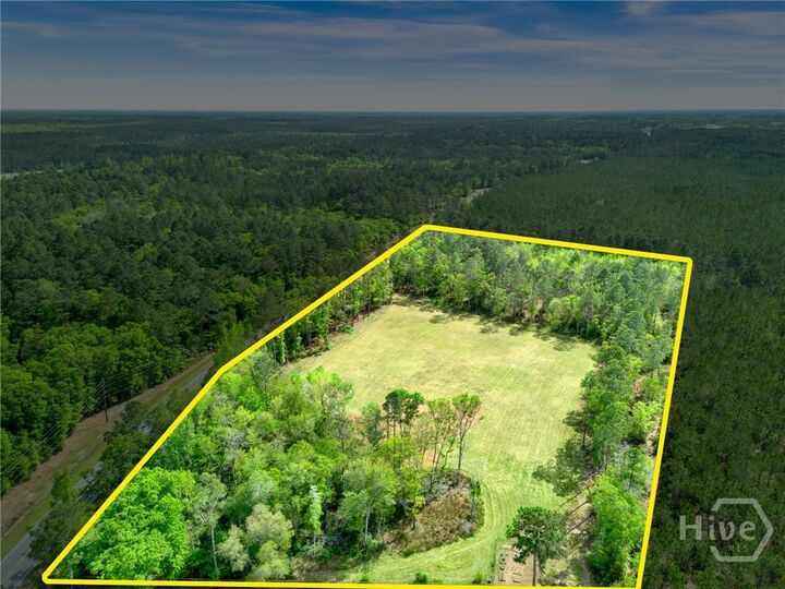 Property Photo:  0 Courthouse Road  GA 31312 