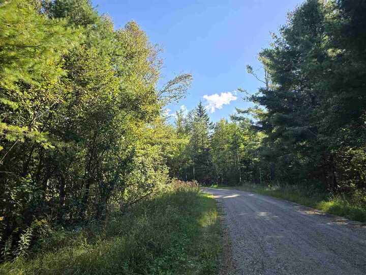 Property Photo: 10534 Sunset MI 49718