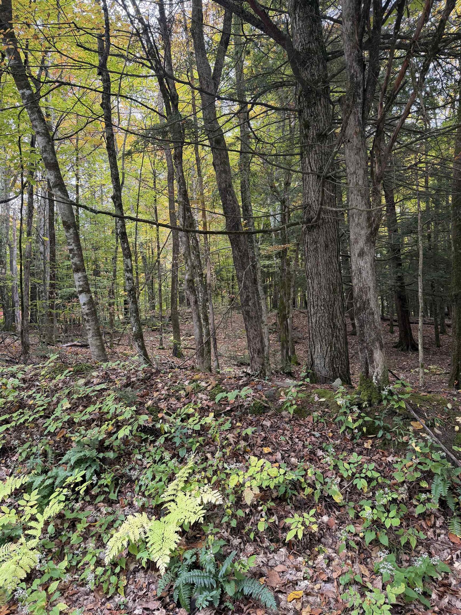 Property Photo:  0 Baker Turn  VT 05059 