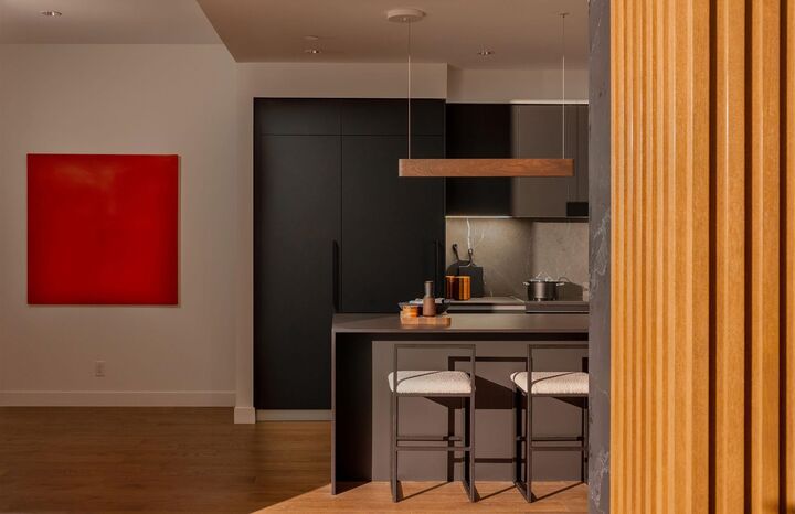 Property Photo:  480 W 16th Avenue 210  BC V5Z 2W4 