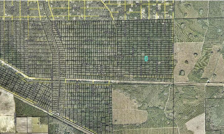 Property Photo:  207 Donna Street  FL 32145 