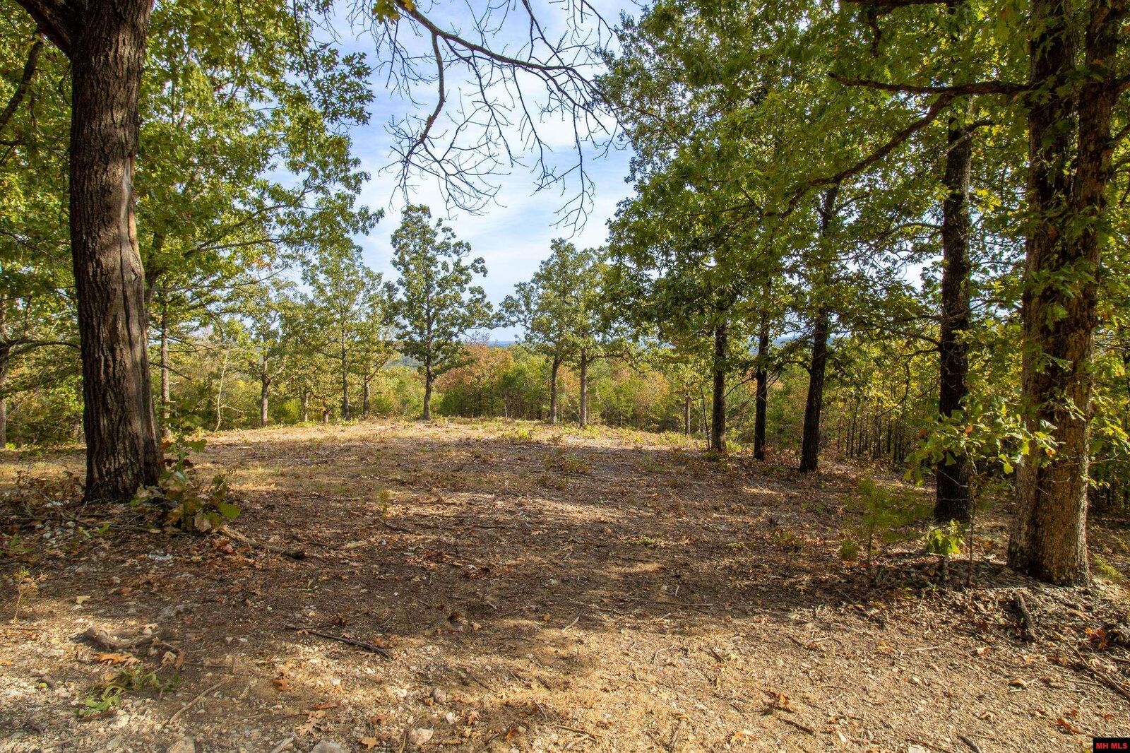 Property Photo:  002-11022-44 Cr 1420  AR 72653 