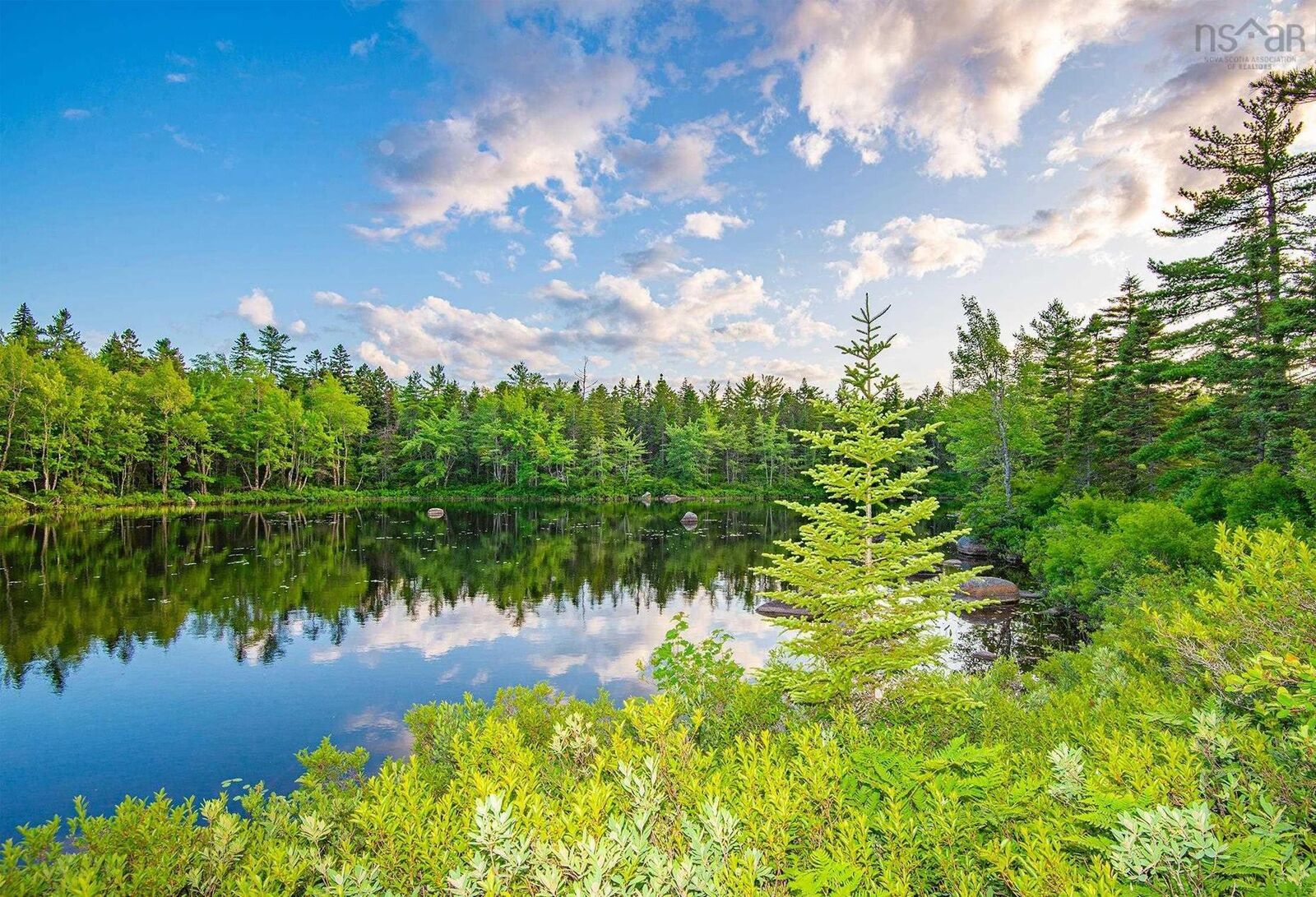 Property Photo:  Lot 12 & 13 Charleton Road  NS B0S 1A0 