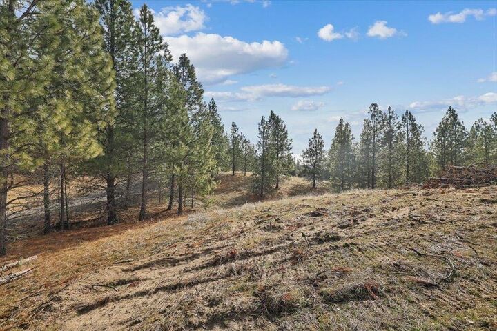 Property Photo: Nka Lower Weaver Way Lot 3 Of Lot 11 WA 99006
