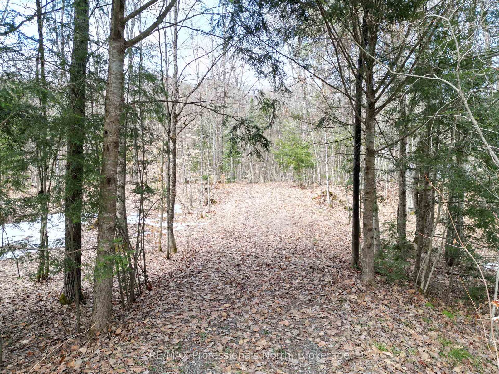 Property Photo:  1231 Big Hawk Lake Road  ON K0M 1J2 