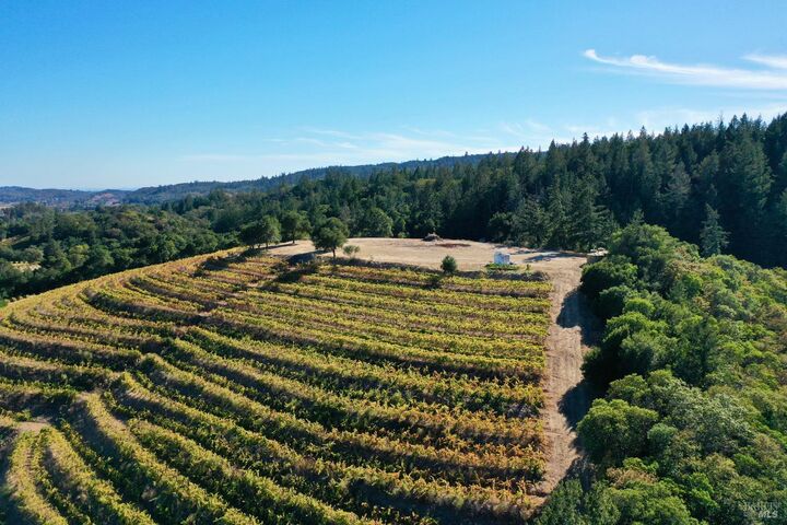 Property Photo:  19853 Geyserville Avenue  CA 95441 