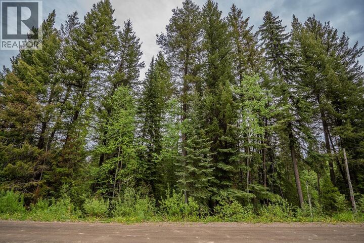 Property Photo:  88 Julsrud Road Lot  BC V0K 1X3 