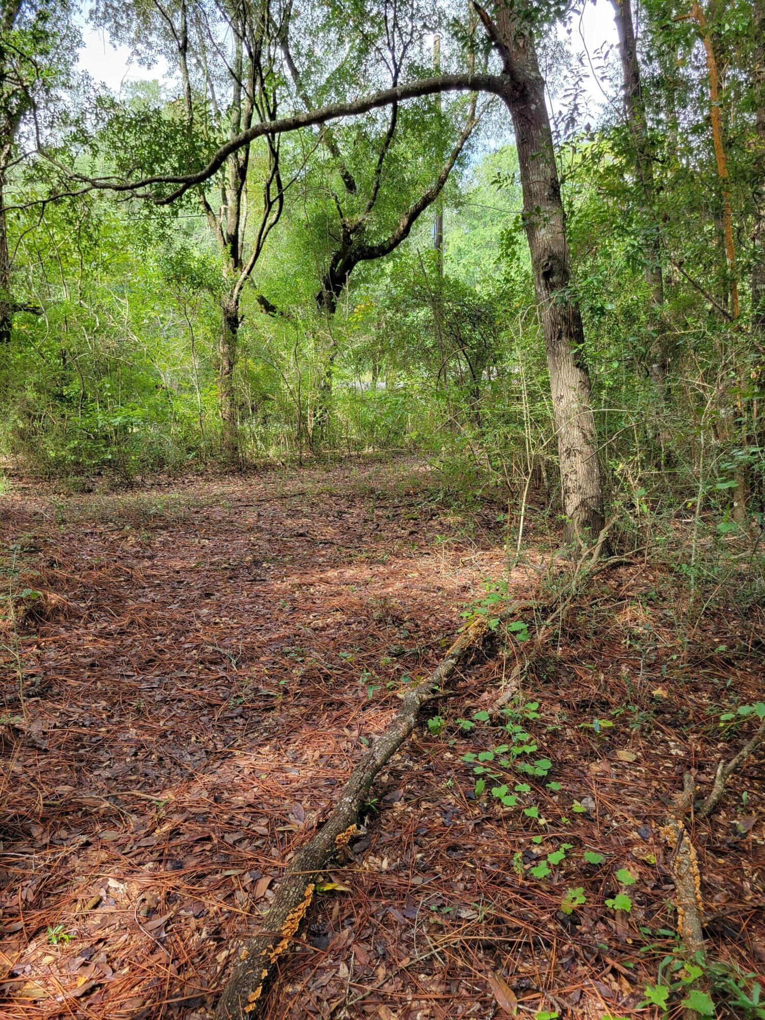 Property Photo:  204 Shell Drive  FL 32536 