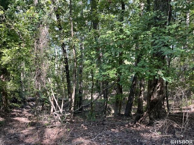 Property Photo: 000 Sabiote Way AR 71909