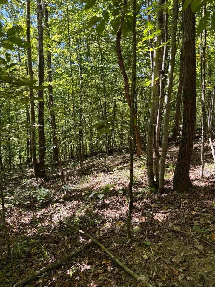 Property Photo: 3825 Highway 191 KY 41472