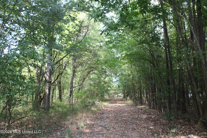 Property Photo:  5 Star Landing Road  MS 38651 