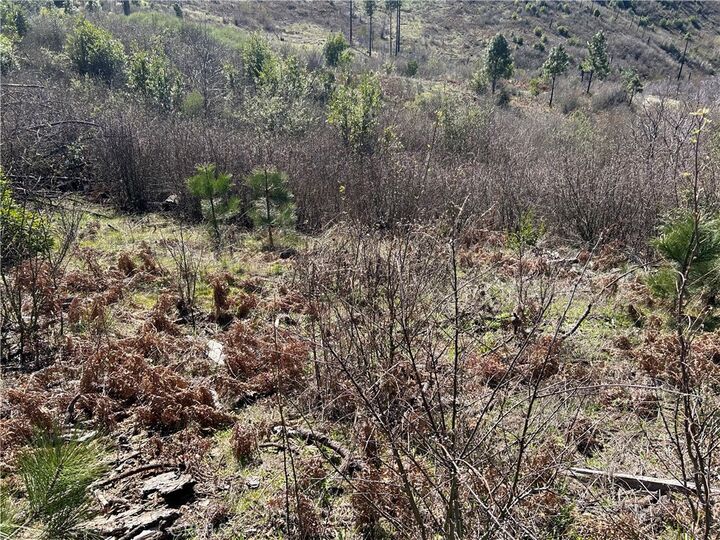 Property Photo:  1234 Hog Ranch Rd  CA 95965 