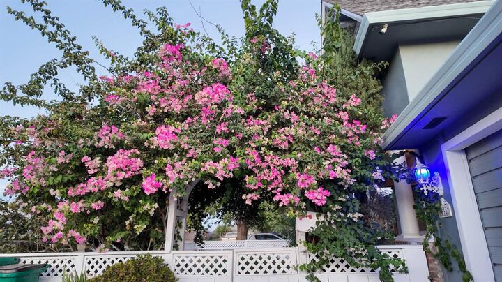 Property Photo: 636 Joaquin Street CA 95240