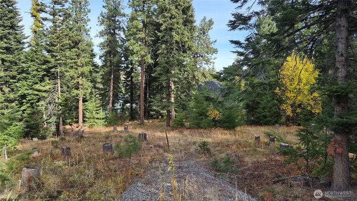 Property Photo:  3080  Fircrest  WA 98801 
