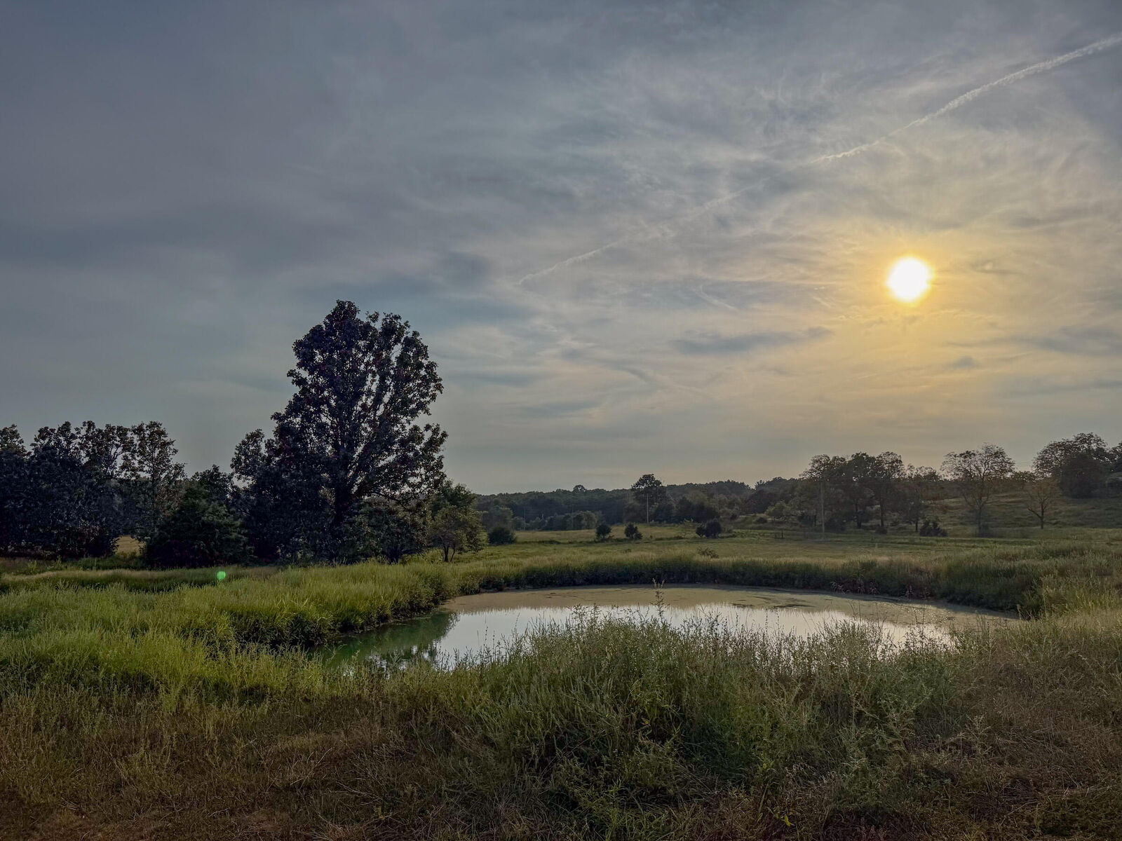 Property Photo:  4420 State Route Dd  MO 65793 