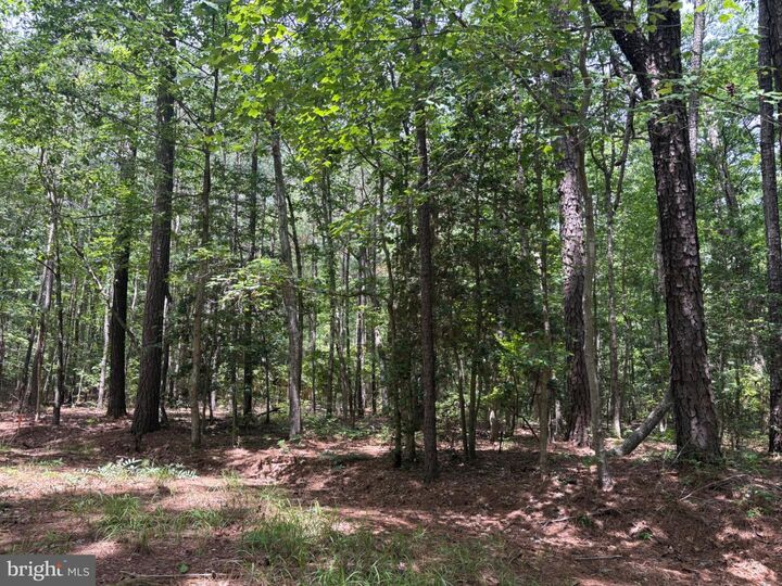 Property Photo: Lot 27 & 28 Stotsylvania Drive VA 22469