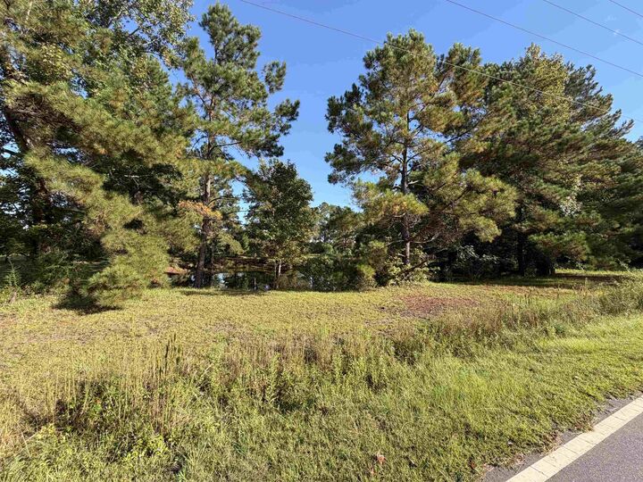 Property Photo: Tract 2 Wise Rd. SC 29526