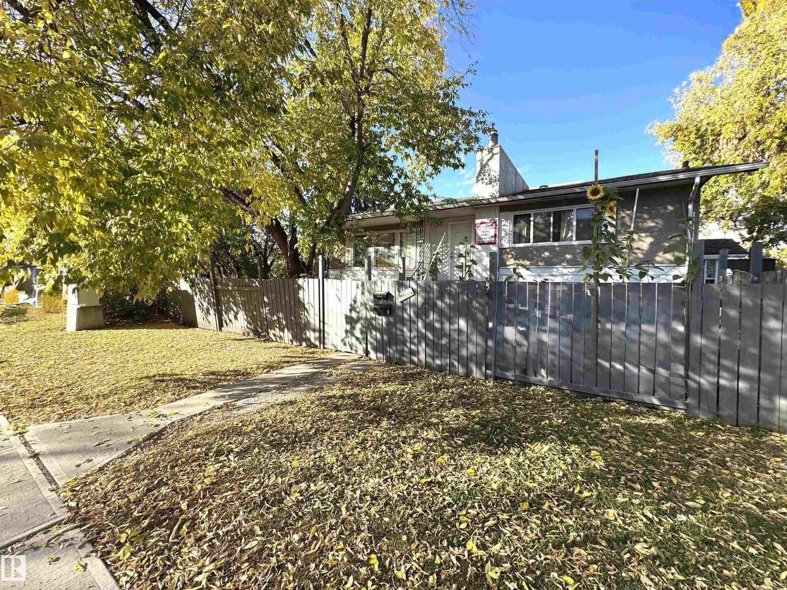 Property Photo:  8108 124 Avenue NW  AB T5B 1C1 