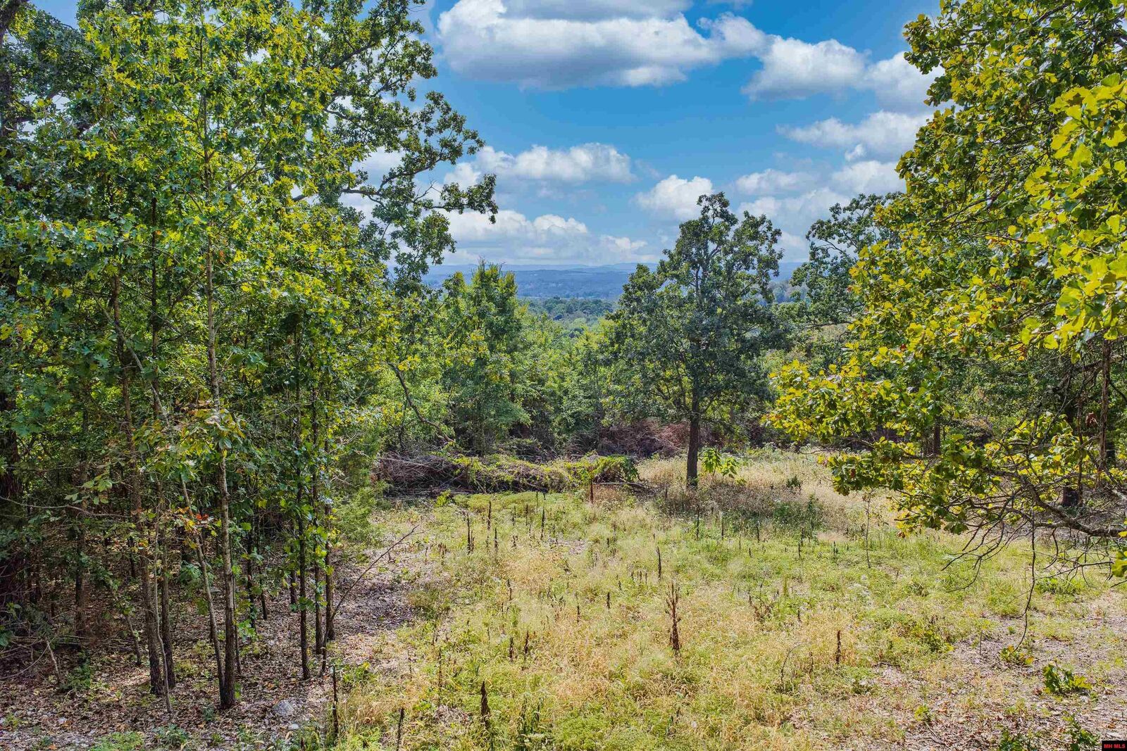 Property Photo:  Lot 23 And 24 Summit Drive  AR 72653 