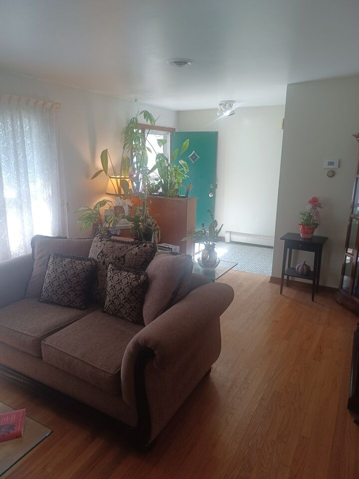 Property Photo: 742 E 168th Place IL 60473