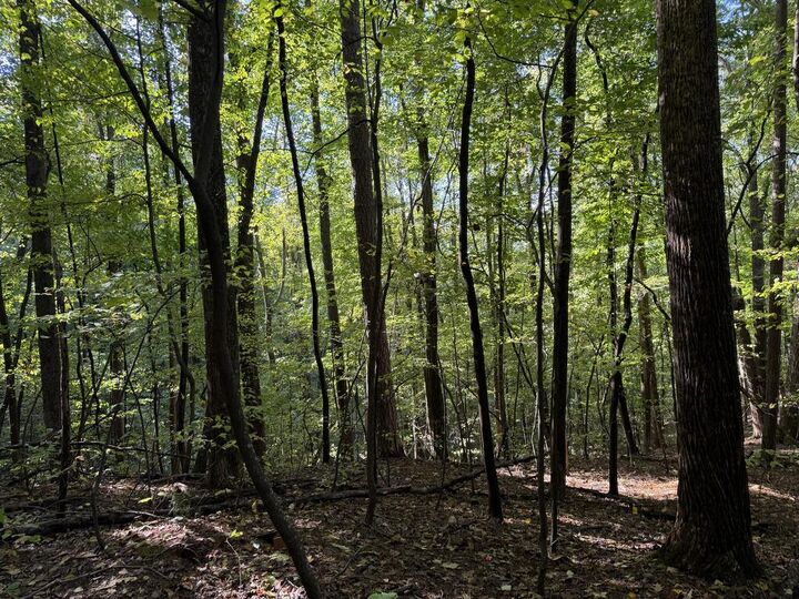 Property Photo:  J349 Mountainview Court  GA 30540 