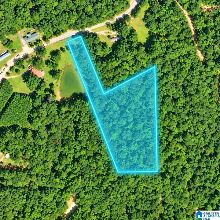 Property Photo:  0 Lee Road 1 0  AL 36866 