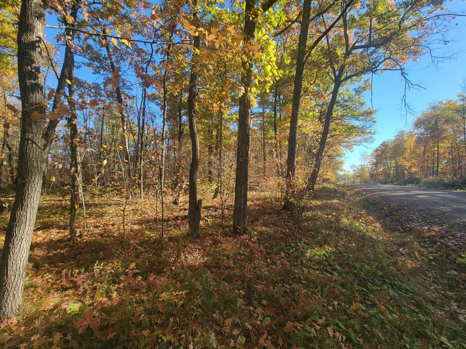 Property Photo:  32147 30th Avenue  MN 56342 