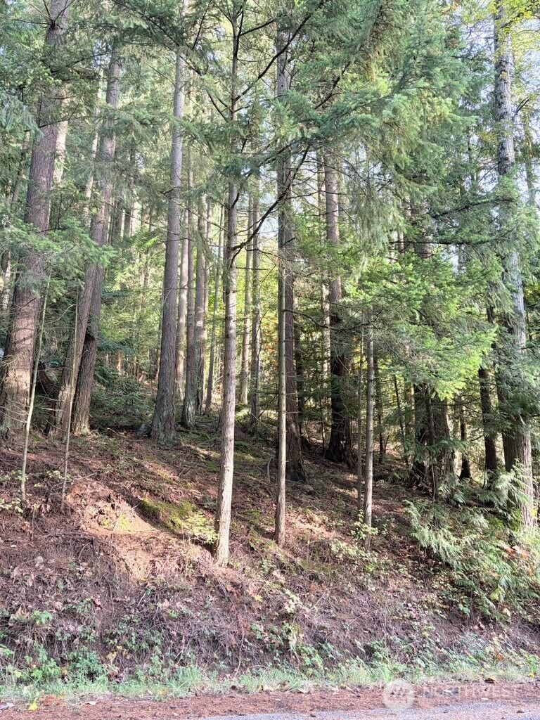 Property Photo:  0 Xxx  Emerald Lake Lot# 122 Way  WA 98226 