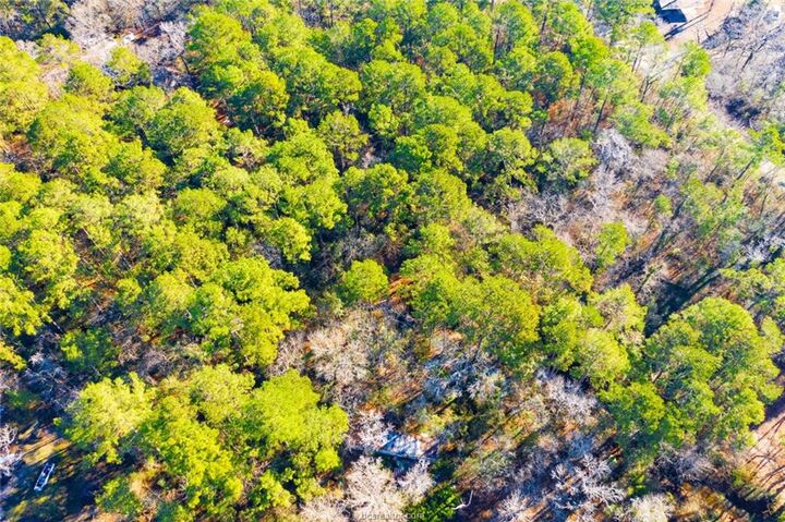 Property Photo:  Lot 30 Cedar Court  TX 75862 