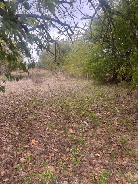 Property Photo: 707 Mesquite Street TX 77837