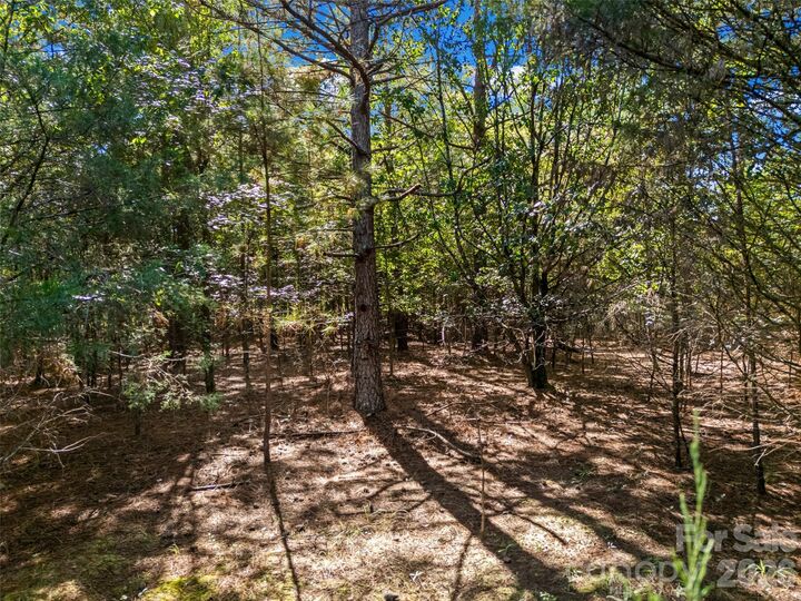 Property Photo:  7215 Cunningham Lane  NC 28079 