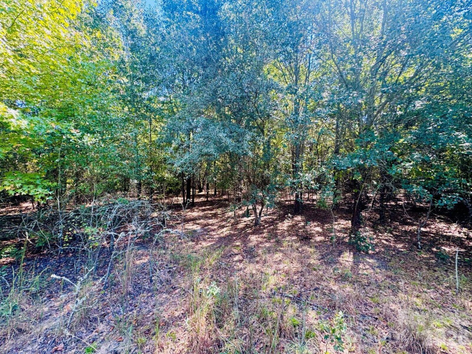Property Photo: Lot 166 Brangus Lane SC 29520