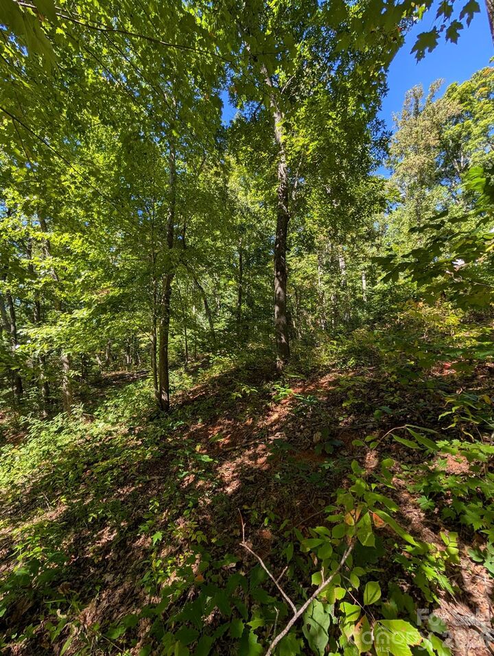 Property Photo:  0000 Mackenzie Way  NC 28778 