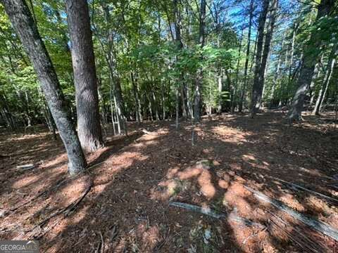 Property Photo:  Lot 1 Laurelwood Circle  NC 28906 