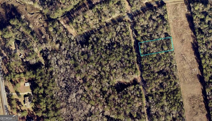 Property Photo: 132 Settlers Trail GA 31569