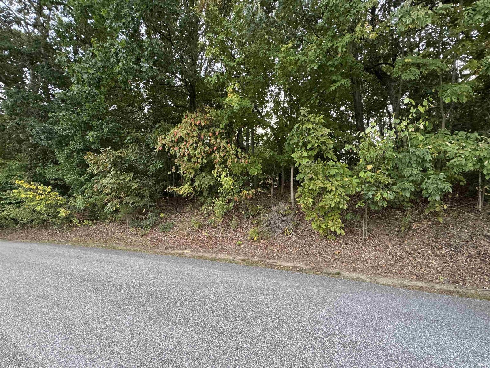 Property Photo:  Lot 93 Santa's Fairways Lane  IN 47579 