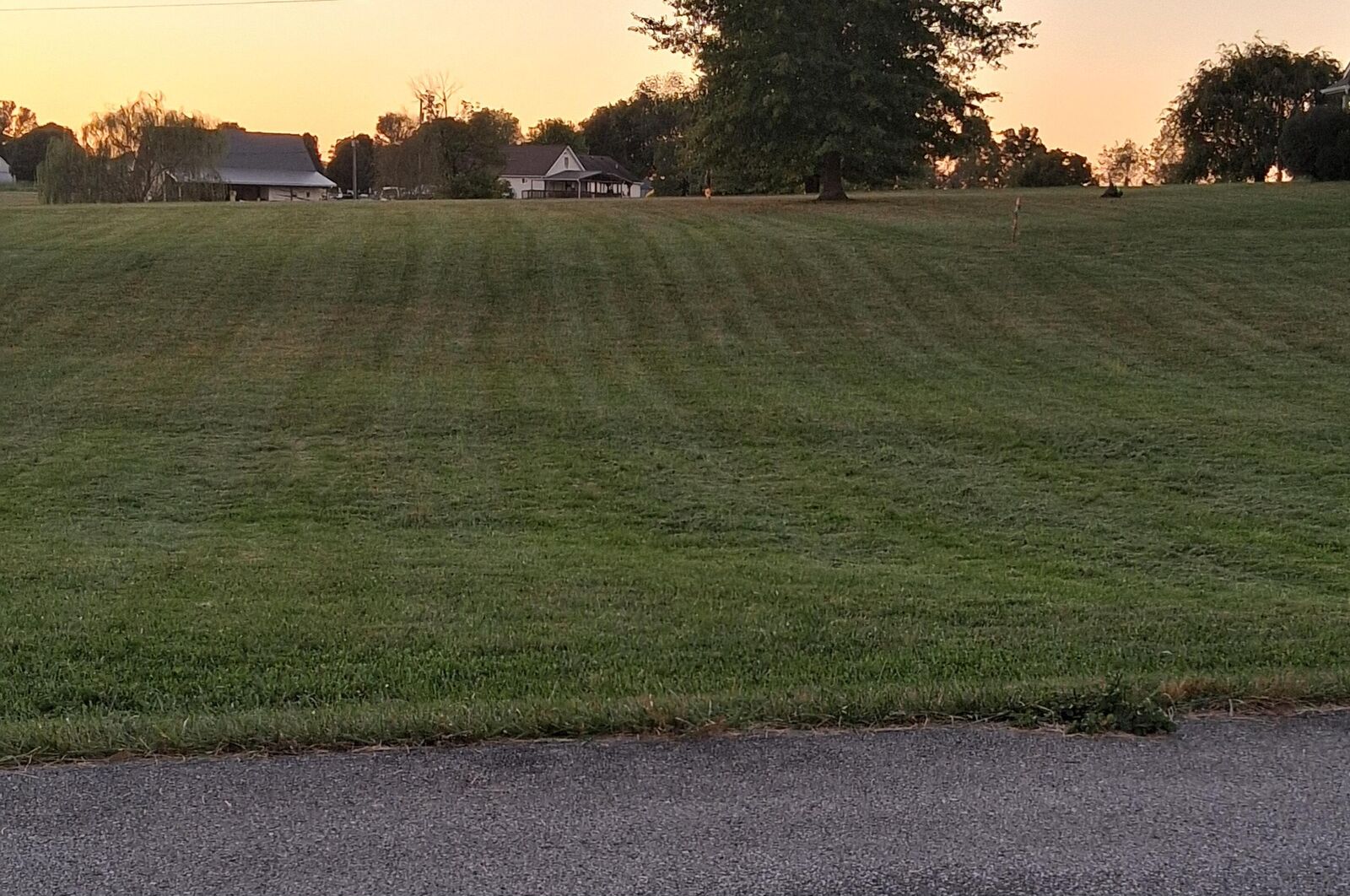 Property Photo:  695 Aubrie Boulevard  KY 41041 