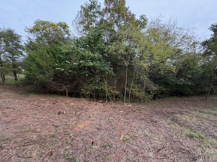 Property Photo:  0 Moneta Road  VA 24121 