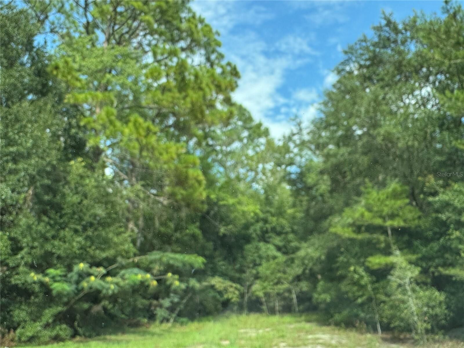 Property Photo:  Unassigned  FL 32134 
