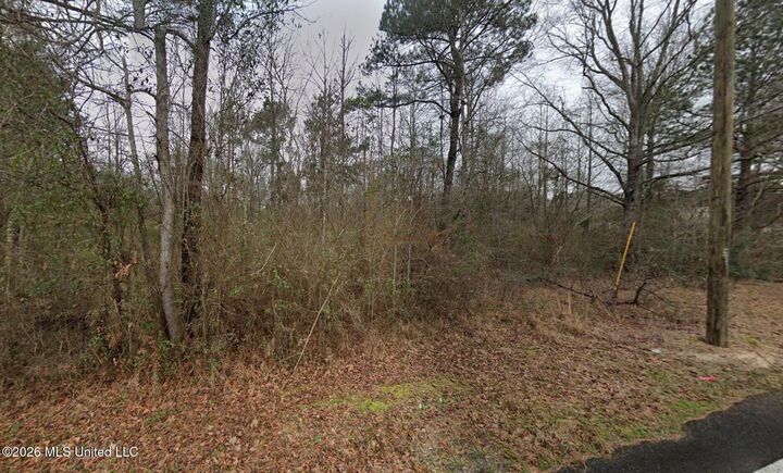 Property Photo: 145 Whiddon Road MS 39475