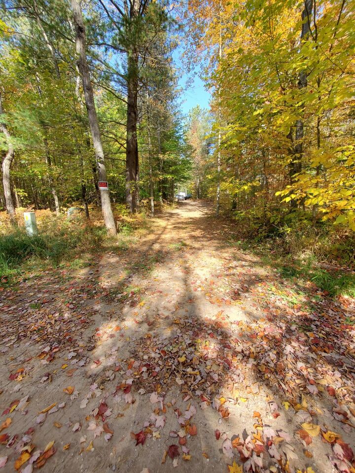 Property Photo: 11326 Berg Road MI 49645