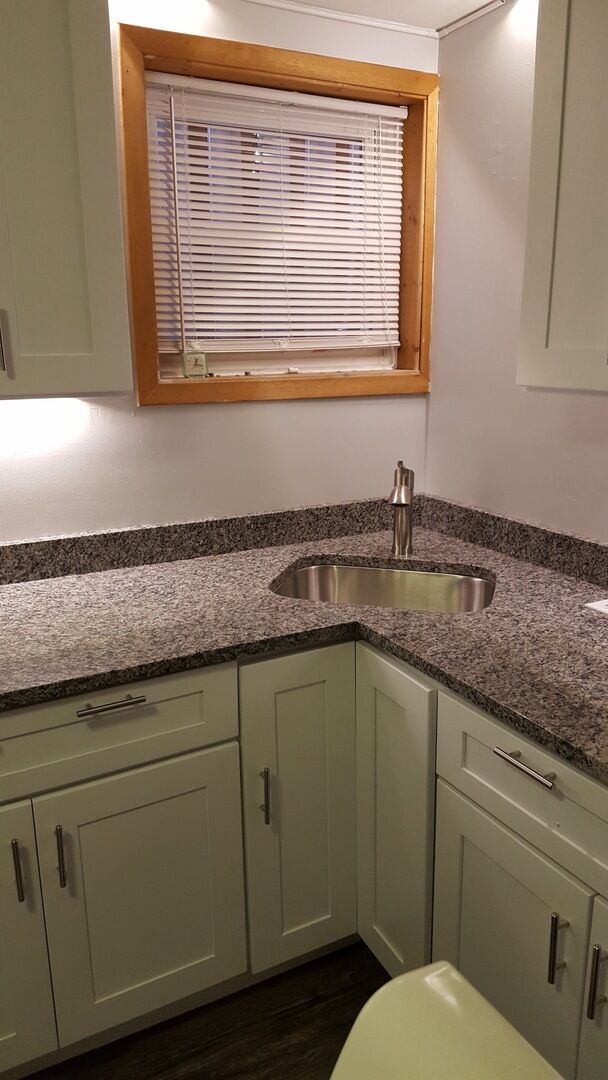 Property Photo:  3819 N Kenneth Avenue 1  IL 60641 