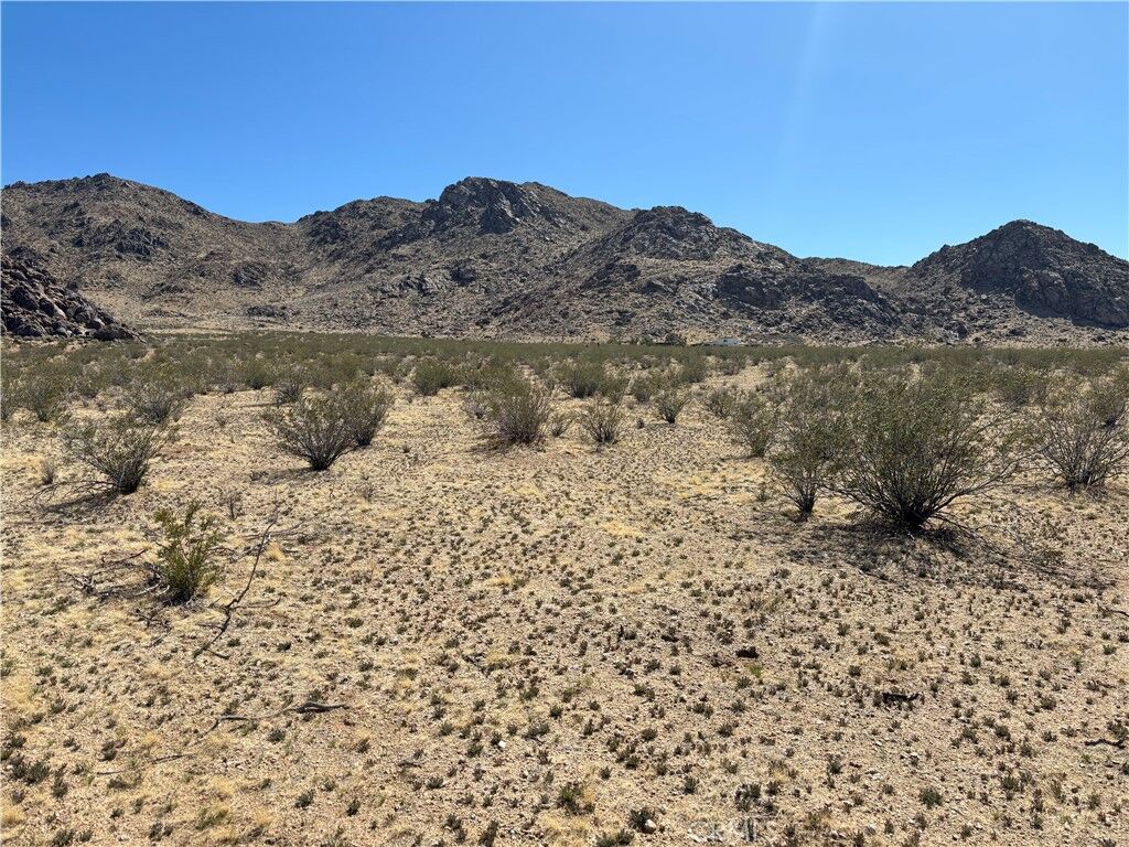 Property Photo:  10 Hwy 395  CA 92347 