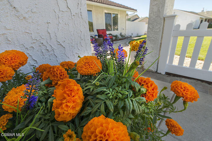 Property Photo:  2676 Castillo Circle  CA 91360 