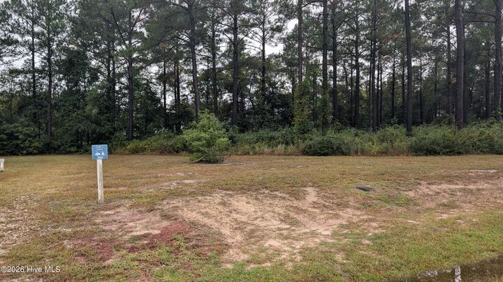 Property Photo: 244 15 Gus Horne Road NC 28445