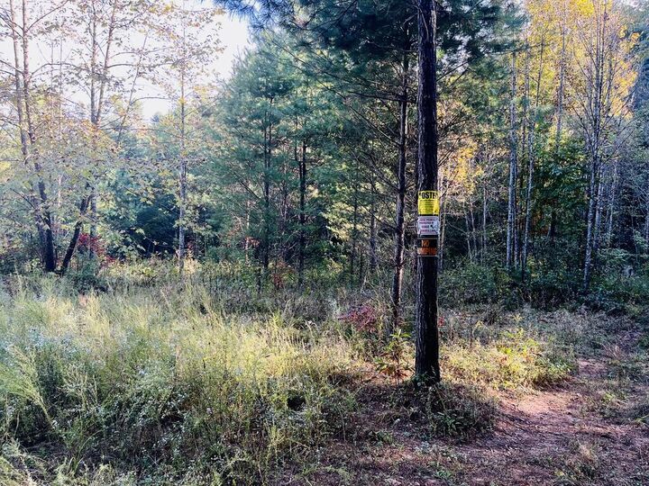 Property Photo:  1885 Flea Mountain Road  NC 28906 
