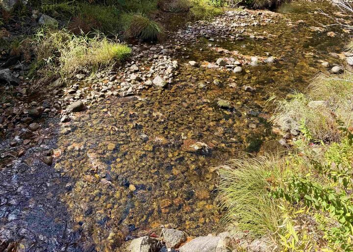 Property Photo:  1340 Cleveland Hill Road  NH 03886 