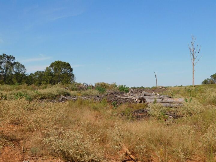 Property Photo: 0 Jackie Byrd Road LA 71064